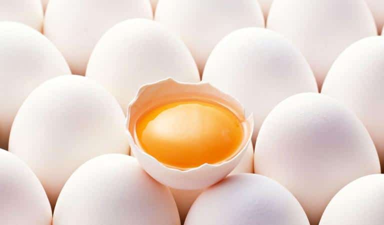 Eating Eggs Delays Aging