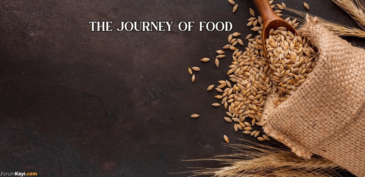 THE JOURNEY OF FOOD