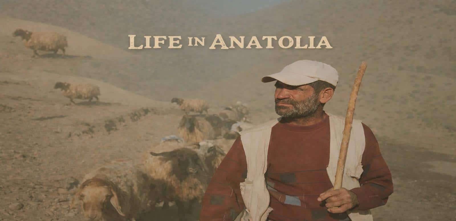 LIFE IN ANATOLIA