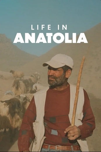 LIFE IN ANATOLIA